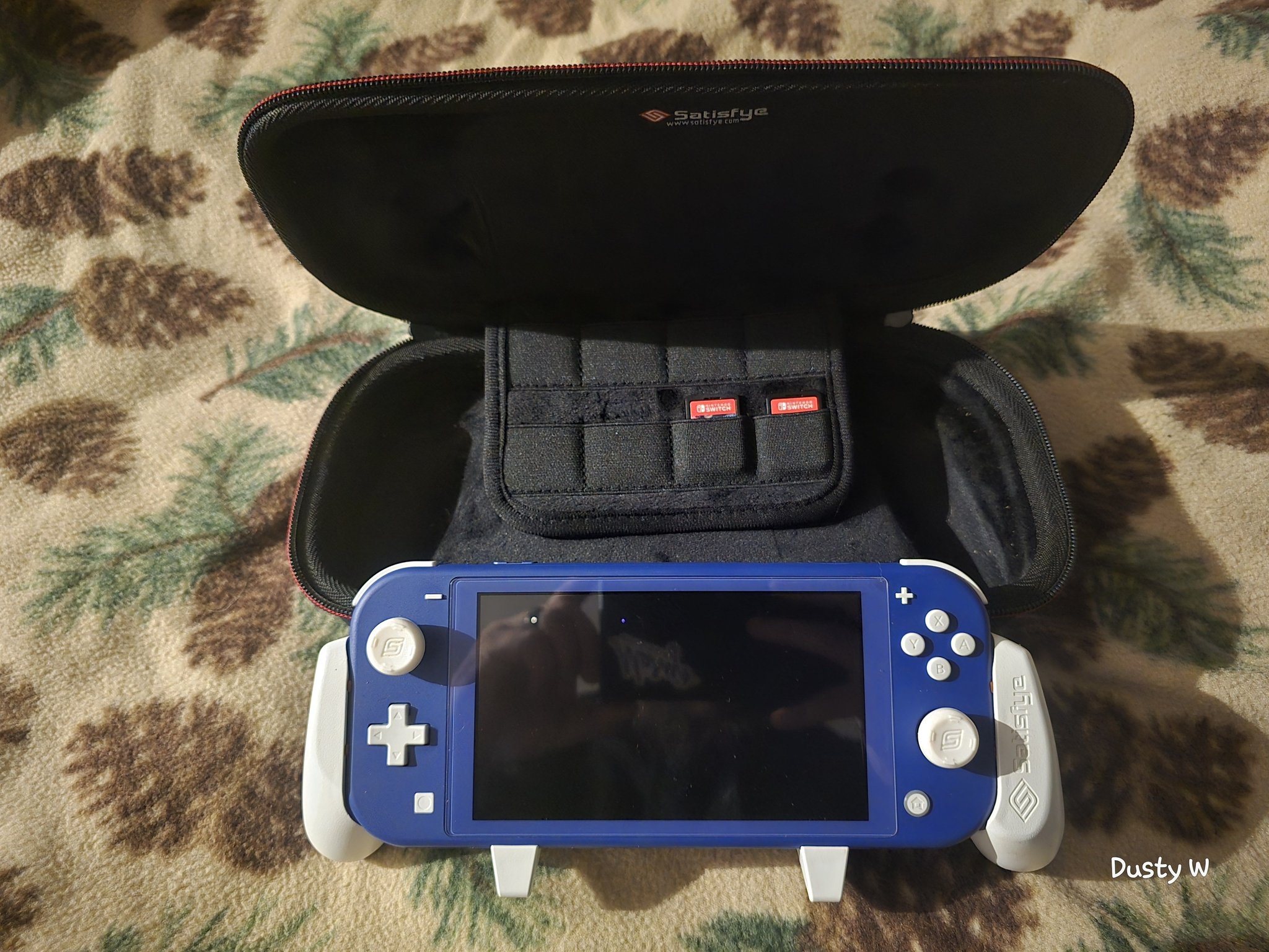 Nintendo Switch handles sunlight great for portable gaming