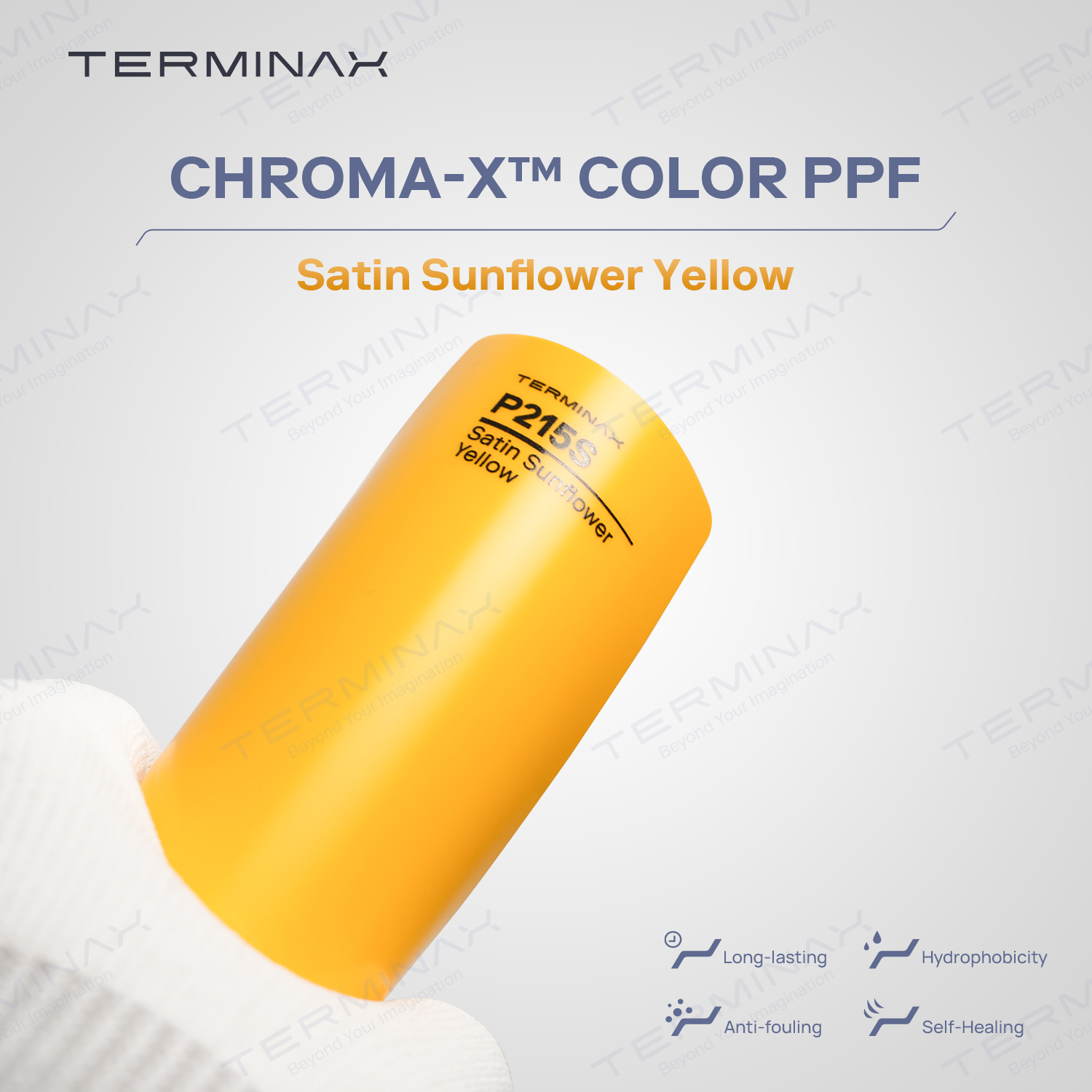 TERMINAX - A new chapter begins in Singapore We’re excited... | Facebook