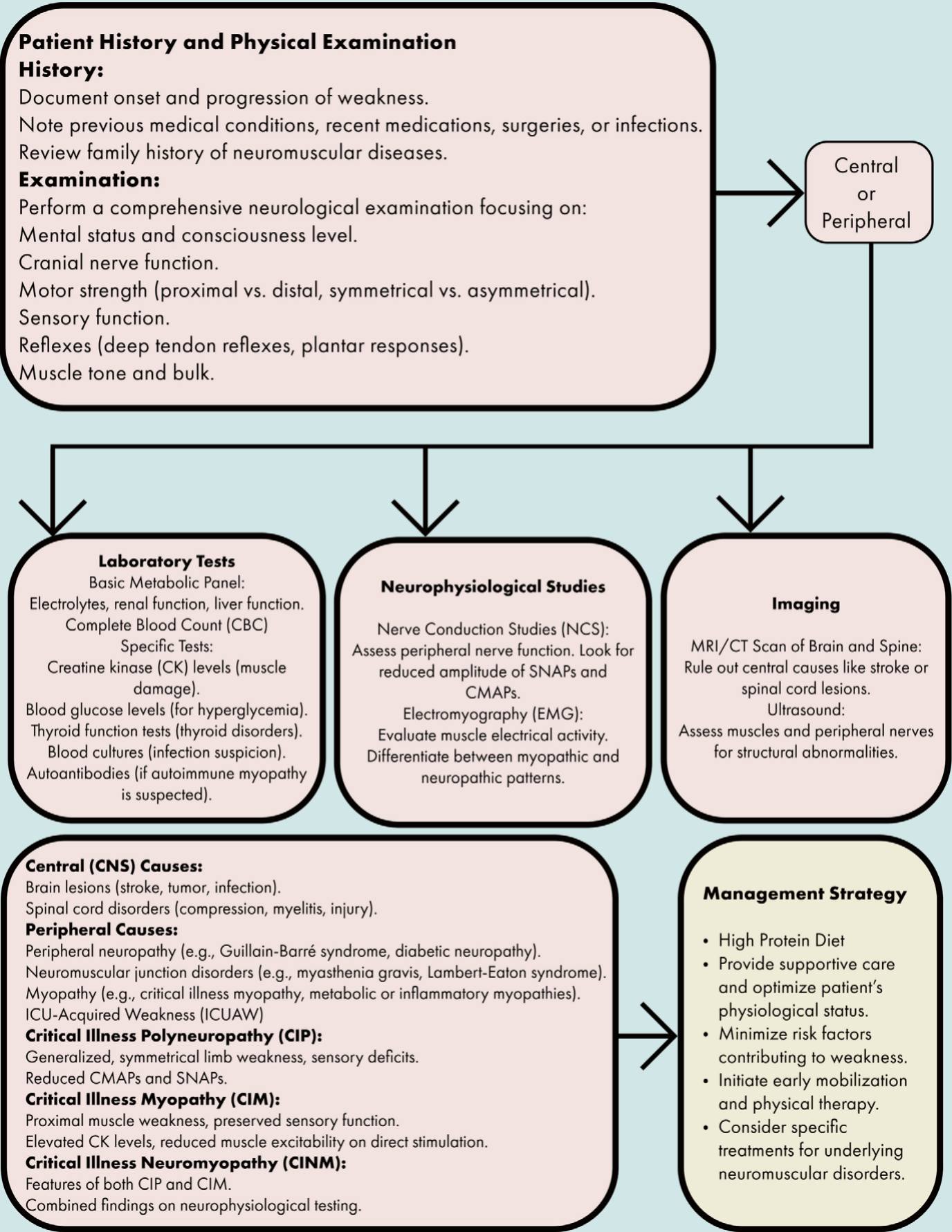 วิกฤติ-ฉุกเฉิน - 🖼️ Algorithm 12.1: แผนภูมิการจัดการภาวะอ่อนแรง 1 ...