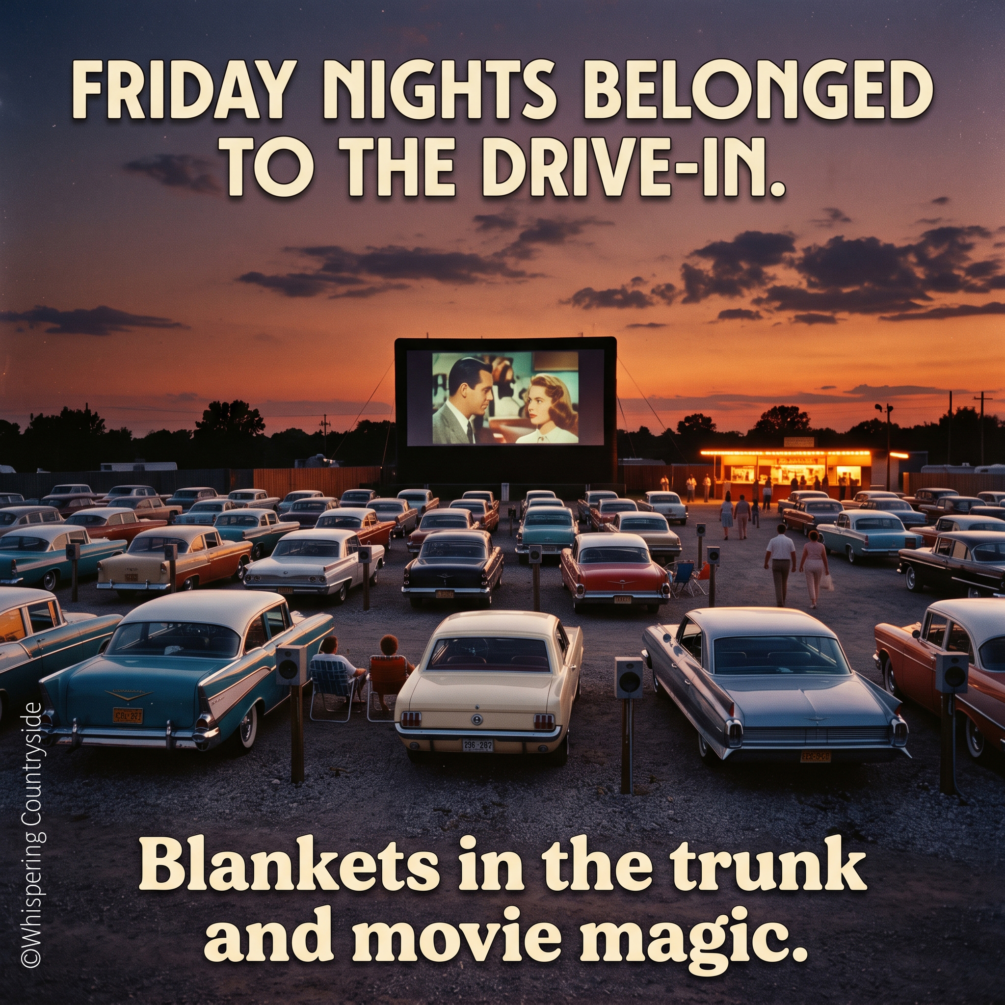 Drive-in movie nights in the countryside