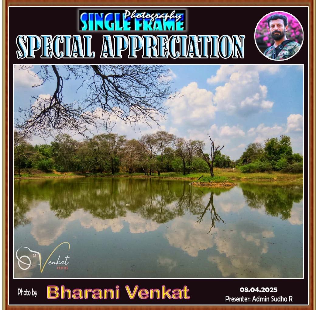 Single Frame Photography | “Welcome to Single Frame Photography” The ...