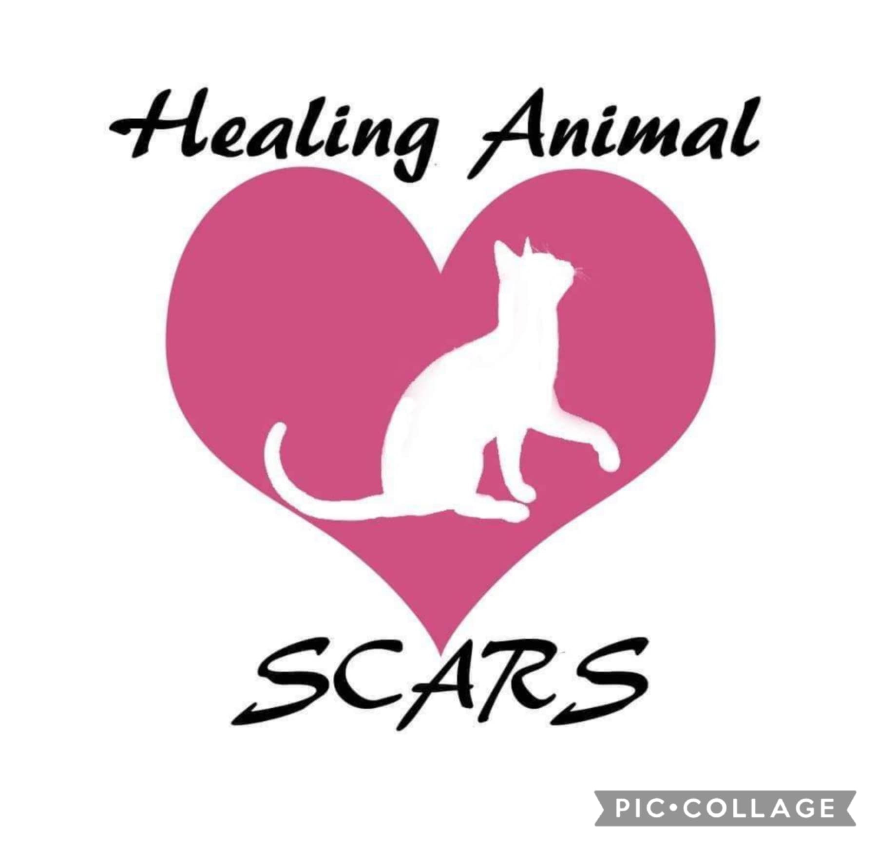 Healing Animal Scars - Sonya's Cat & Animal Rescue Society | Dartmouth NS