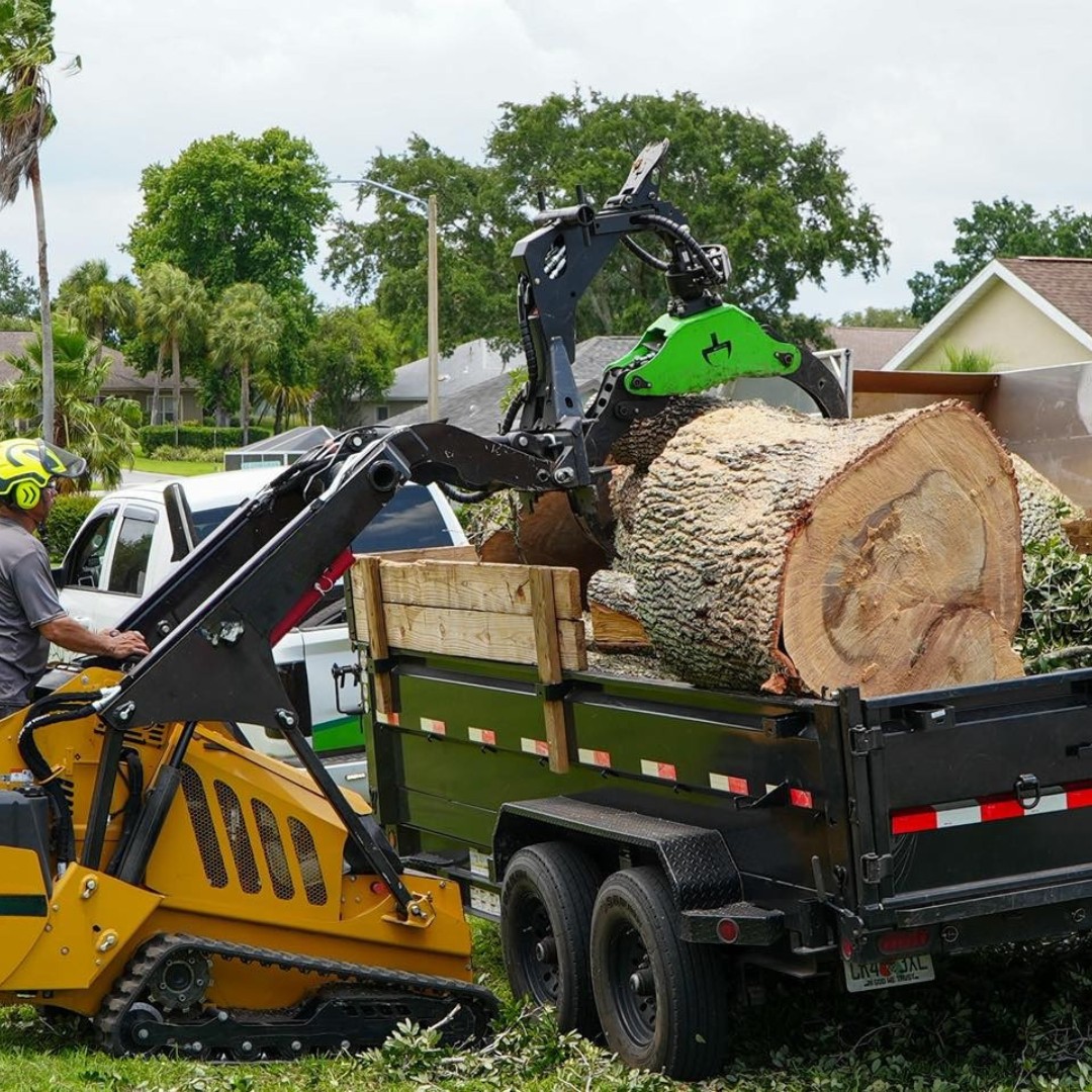 Tree Removal San Antonio | San Antonio TX