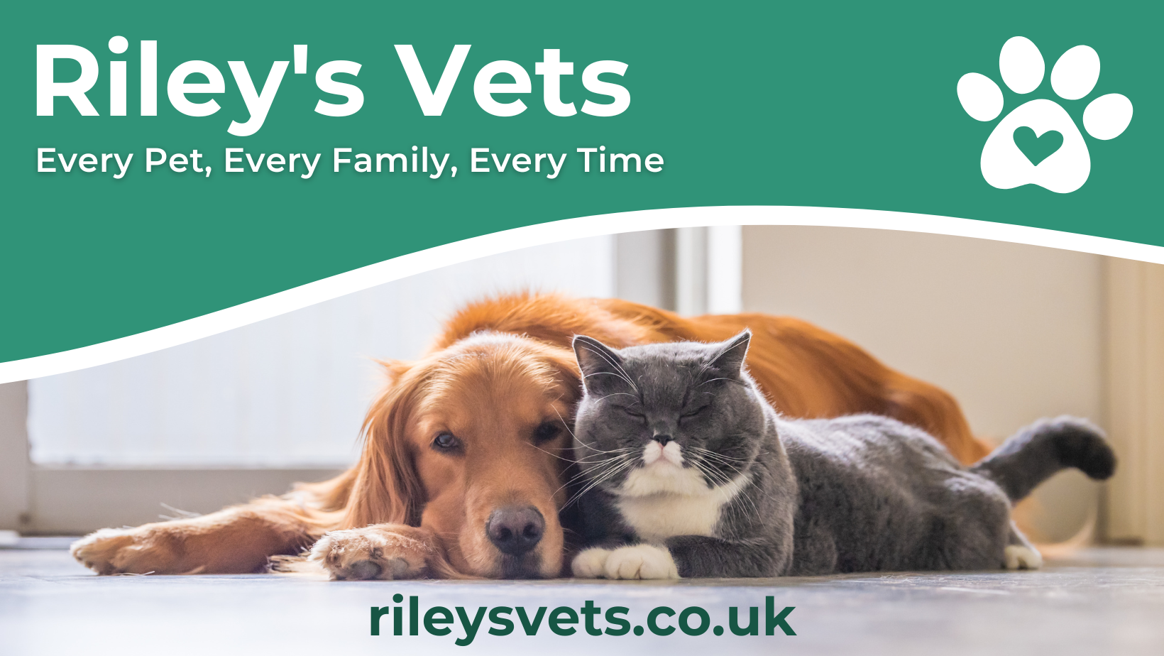 Riley’s Vets Haslingden | Haslingden