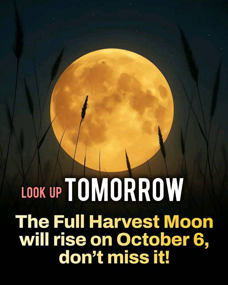 everyday mood | The first supermoon of 2025 will rise on Oct | Facebook