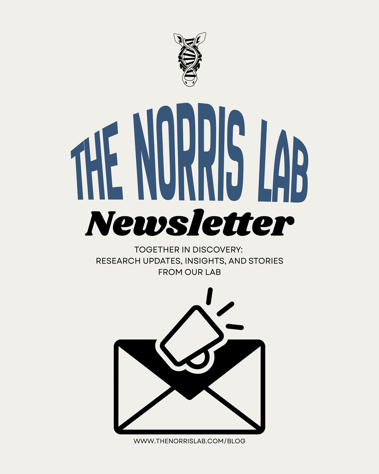 The Norris Lab | Charleston SC