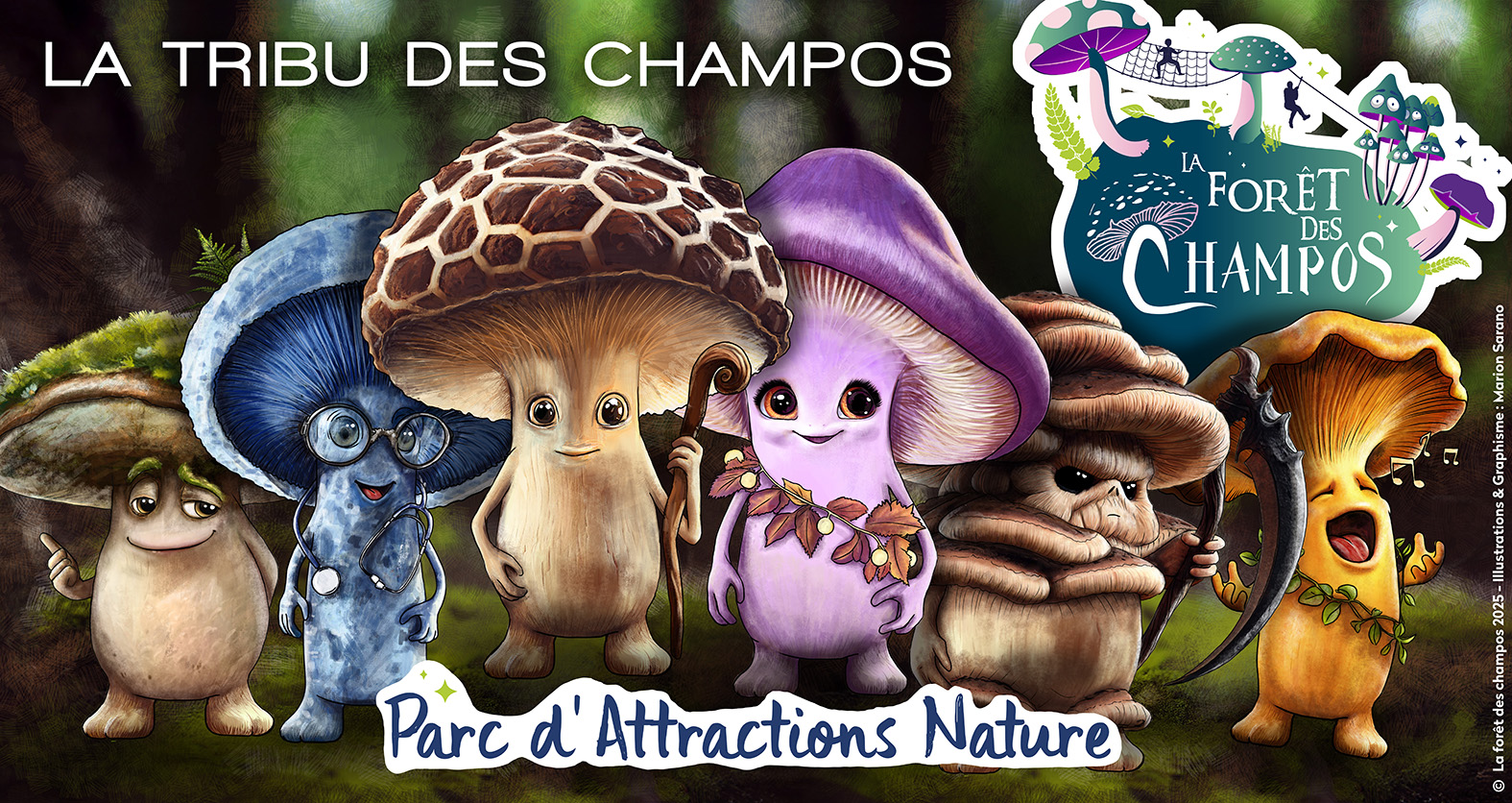 la-for-t-des-champos-saint-donat-sur-l-herbasse