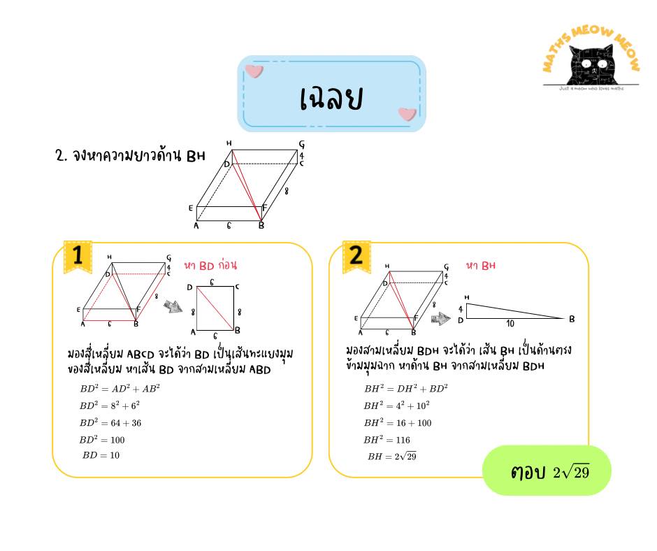 Maths meow meow | Bangkok