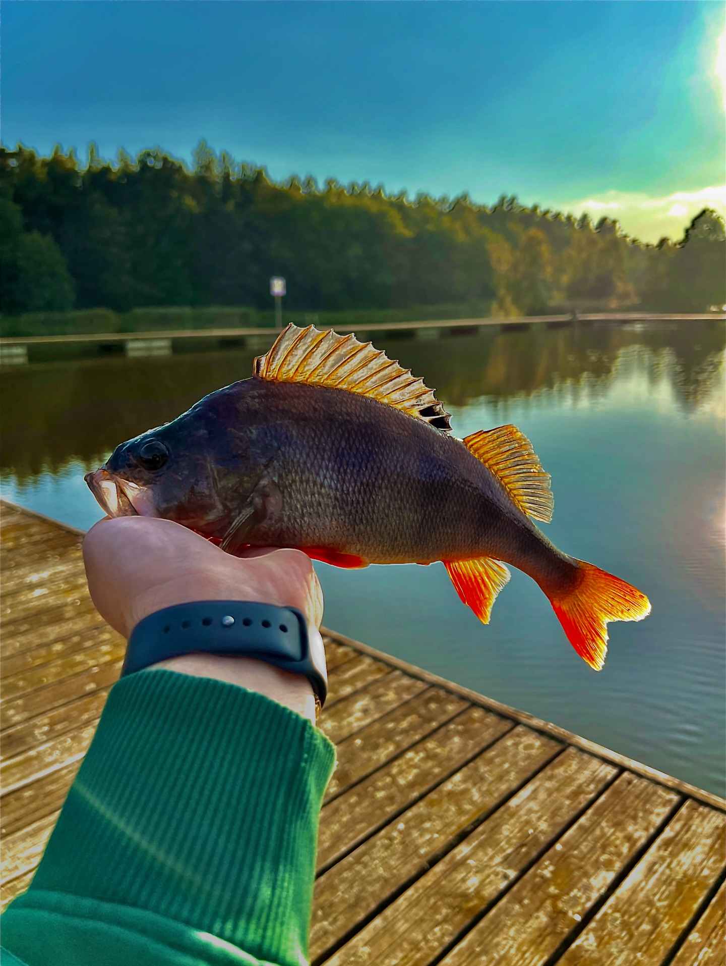 Marlo Fishing