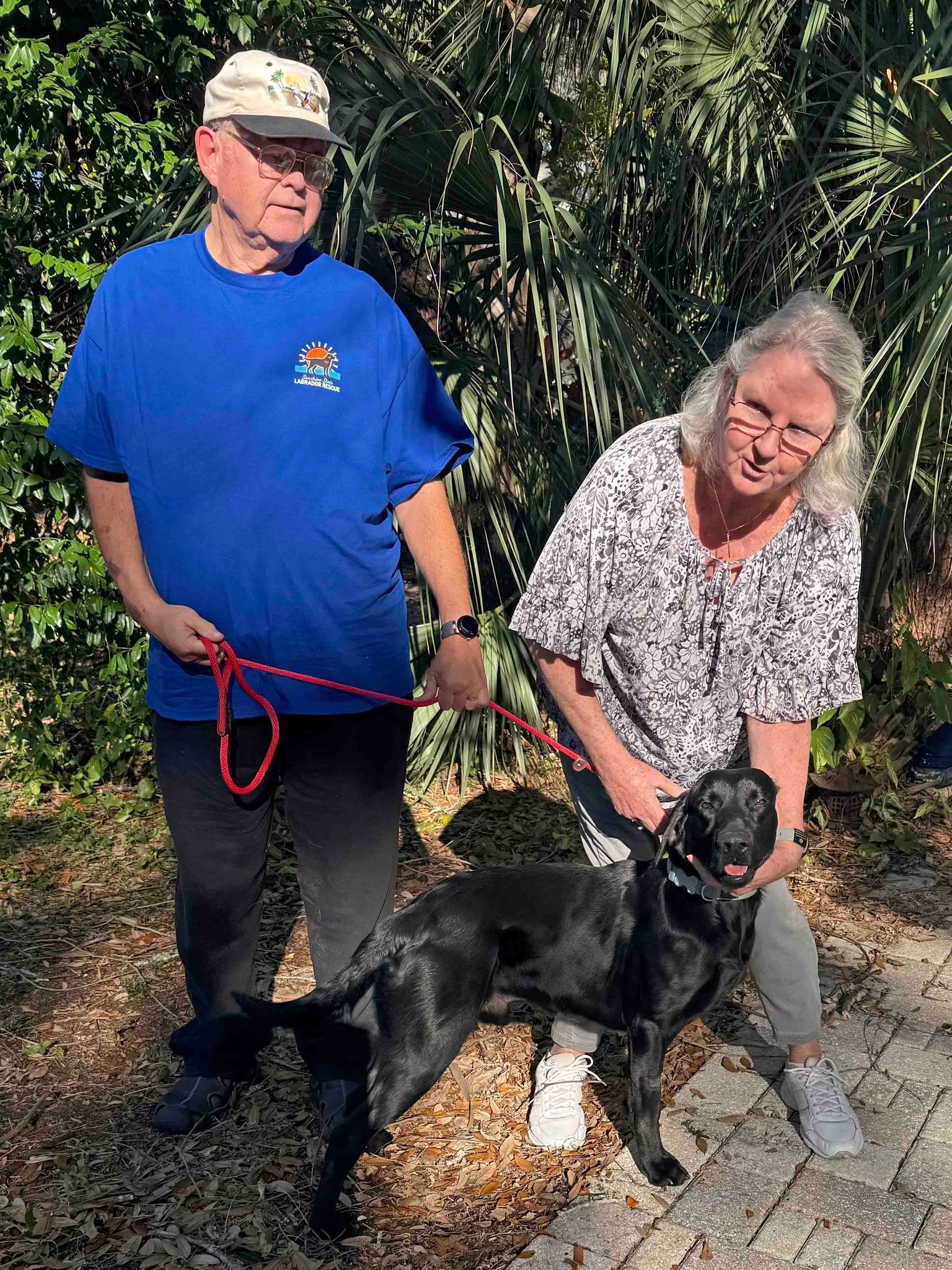 🚐🐕‍🦺 The Great Tucker... - Sunshine State Labrador Rescue | Facebook