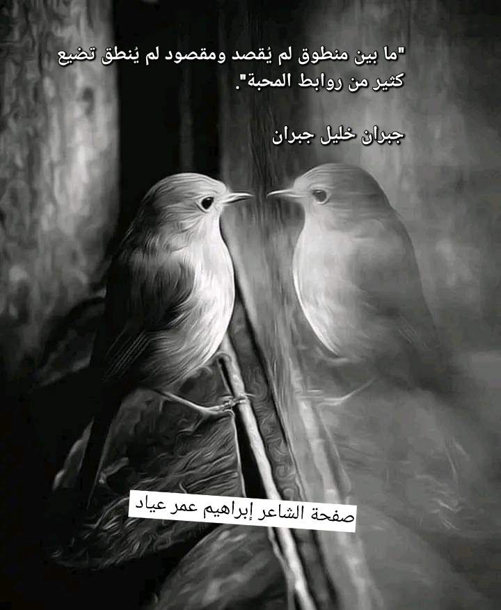 الشاعر إبراهيم عمر عياد