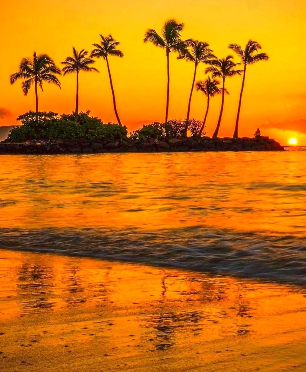 Aloha - Sunset dreams in Hawaii 🌅🌊 ️ 📷 @frapival_photos | Facebook