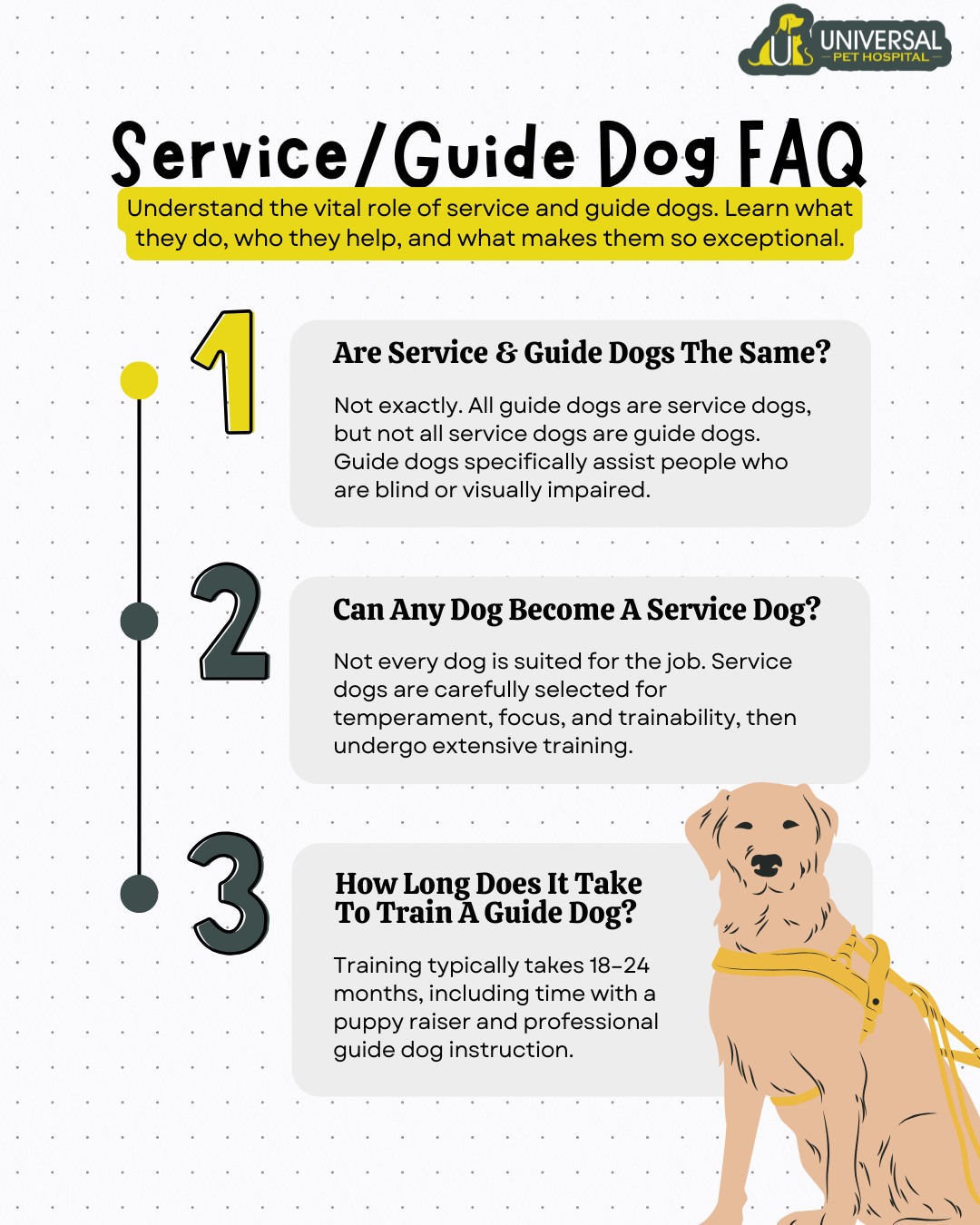 Universal Pet Hospital | Palo Alto CA
