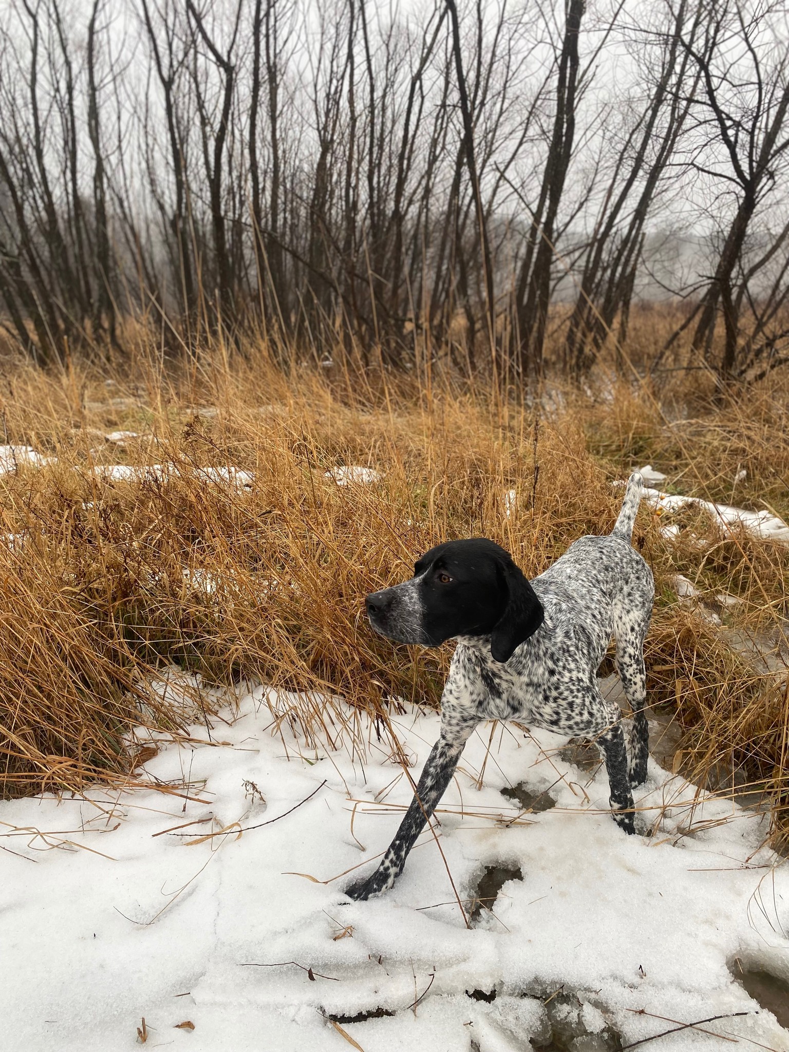 DeBoe Outdoors
