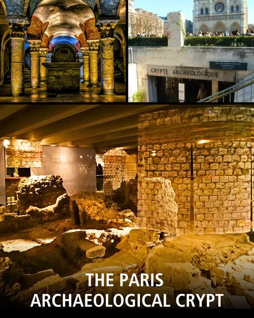 Yes - The 𝗣𝗮𝗿𝗶𝘀 𝗔𝗿𝗰𝗵𝗮𝗲𝗼𝗹𝗼𝗴𝘆 𝗖𝗿𝘆𝗽𝘁 is one of the city’s most unusual ...