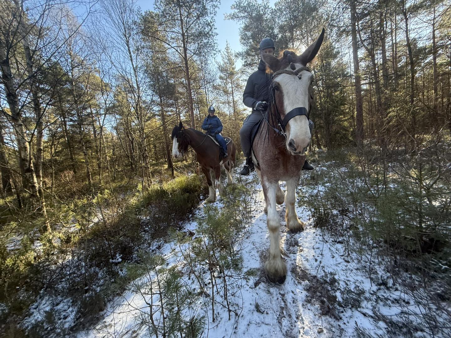 TÄVLING! Vi drar... - Shire Turridning Hallandsåsen | Facebook