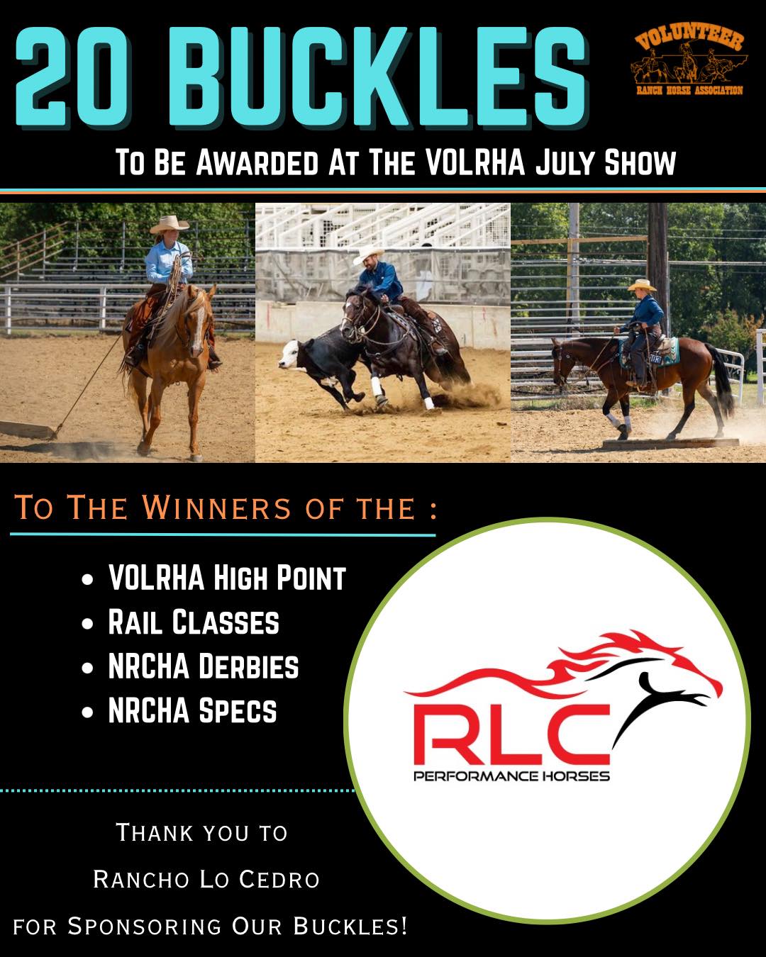 Ruckus Performance Equine | Springfield TN