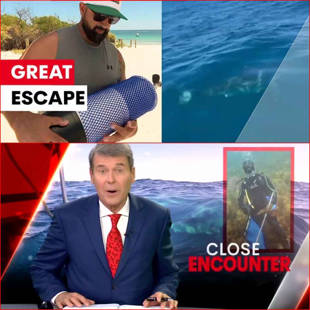 Brit - Horror in the Middle of the Ocean: Diver Tanveer Dhillon ...
