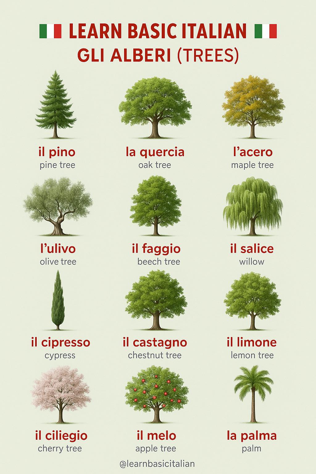 Italian for beginners 🇮🇹 . . . . . .... - Learn Basic Italian | Facebook