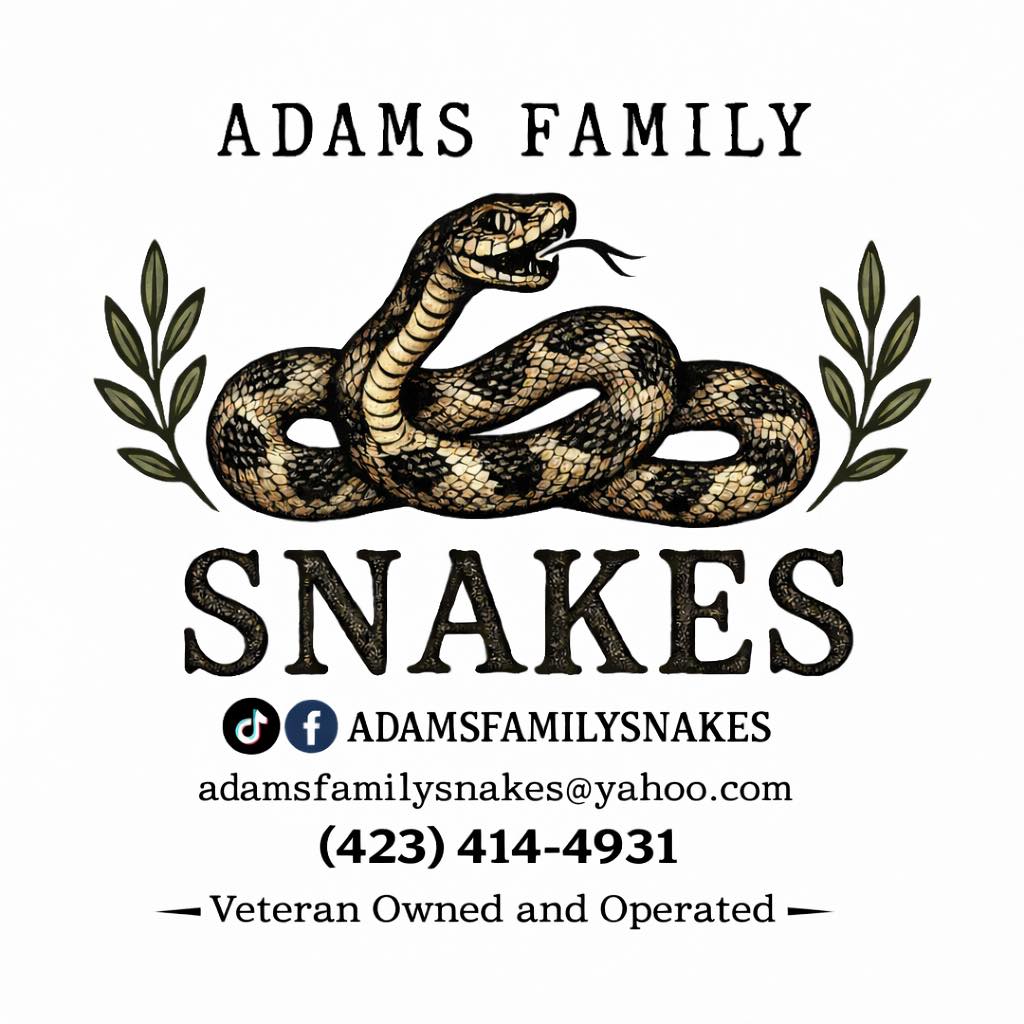 Adams Family Snakes | Chattanooga TN