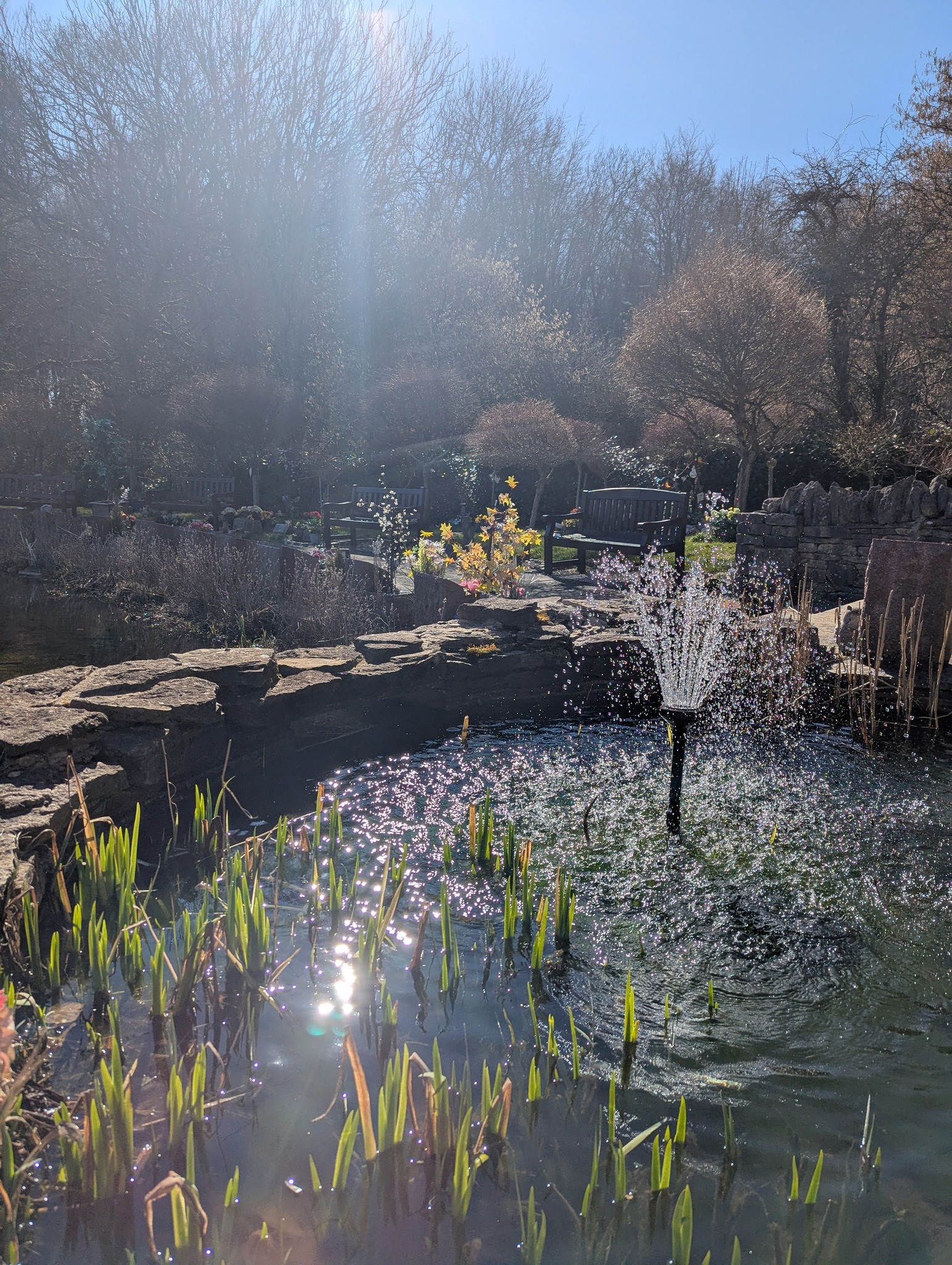 Basingstoke - Water has a natural way of bringing peace and reflection ...