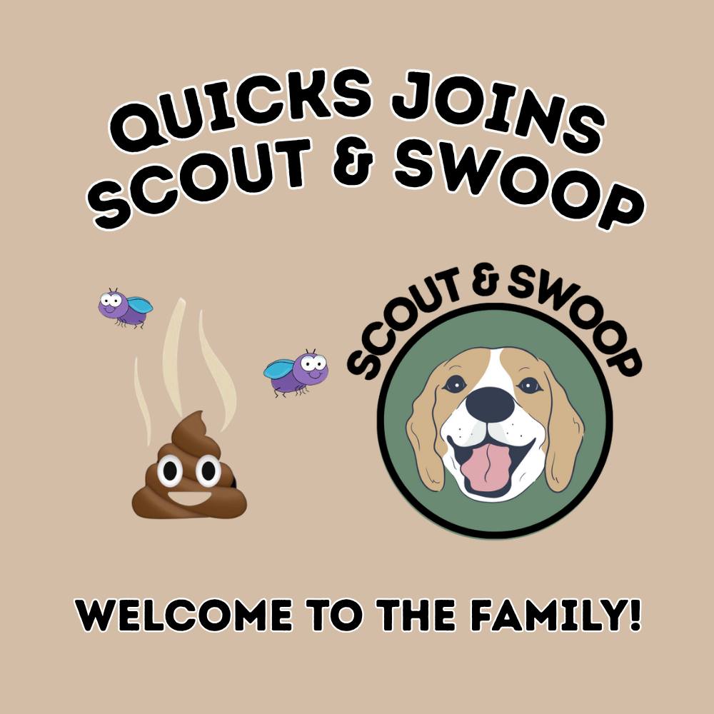 Scout & Swoop - 🚨 Exciting News! 🚨 The Scout & Swoop... | Facebook