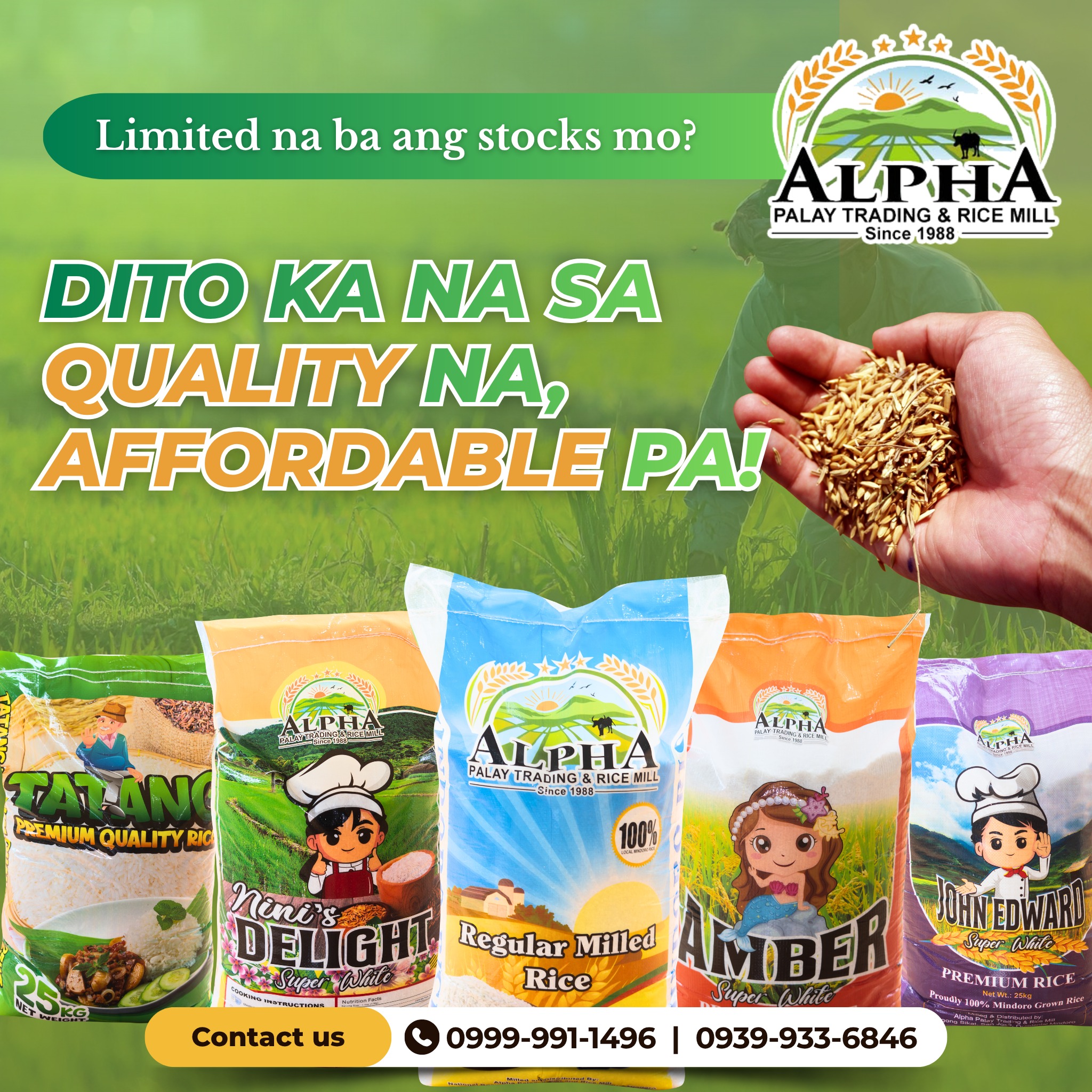 Alpha Rice Mill