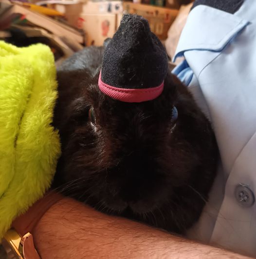 I leave the travelers hat broken because they're just so darn cute