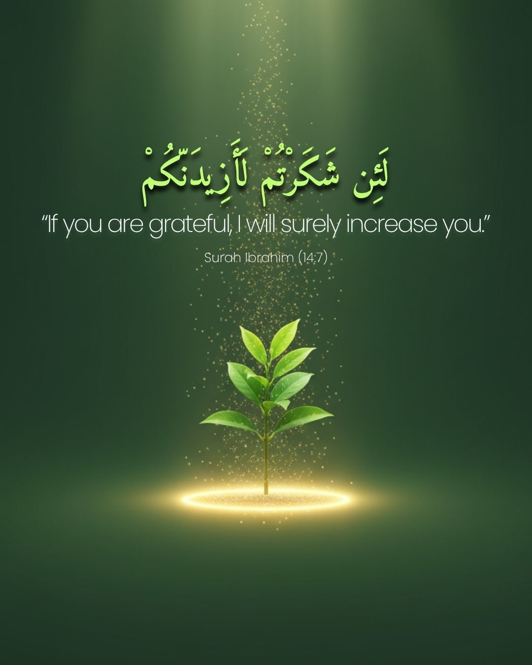 ZainClicks - True gratitude isn’t only saying “Alhamdulillah.” It’s ...