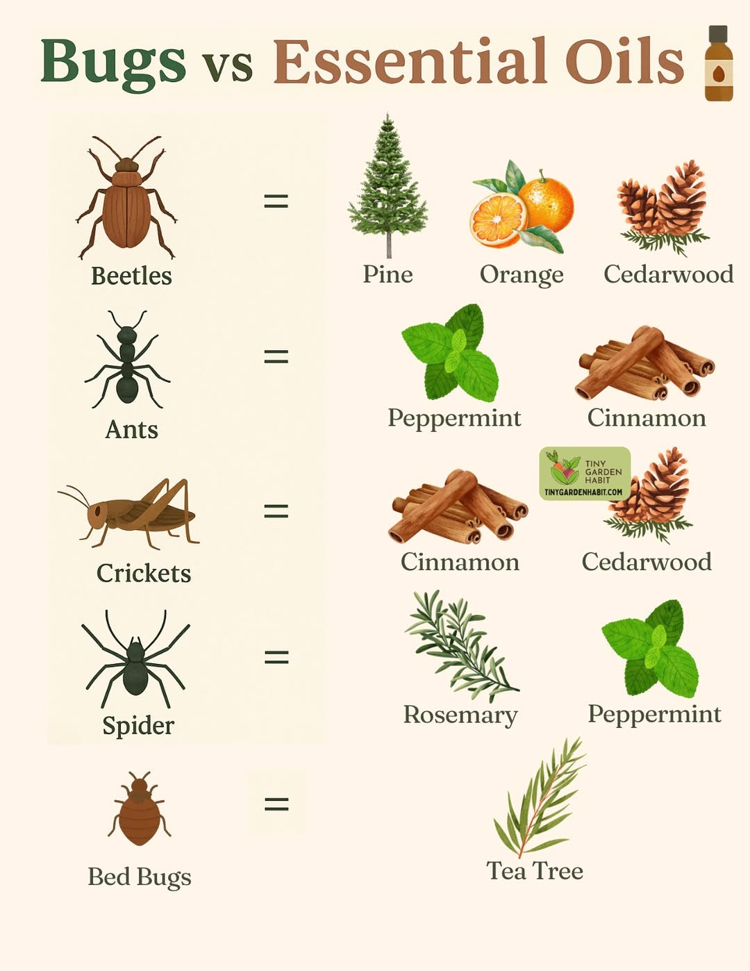 Tiny - 🌿 Bugs vs Essential Oils – Natural Pest Control Skip the harsh ...