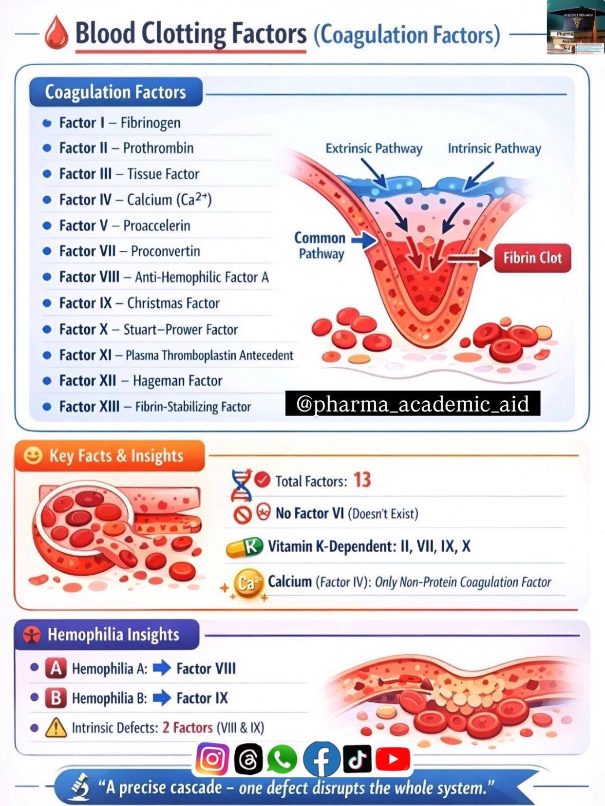 Pharma - Blood Clotting Factors (Coagulation Factors) — A Structured ...