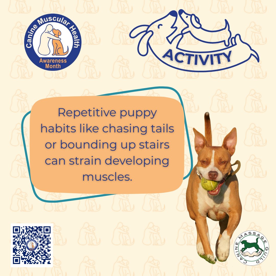 Canine Muscular Health Awareness