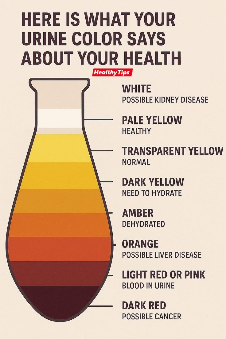 vitamin b12 injection urine color Red or Pink With Injections What are the side effects