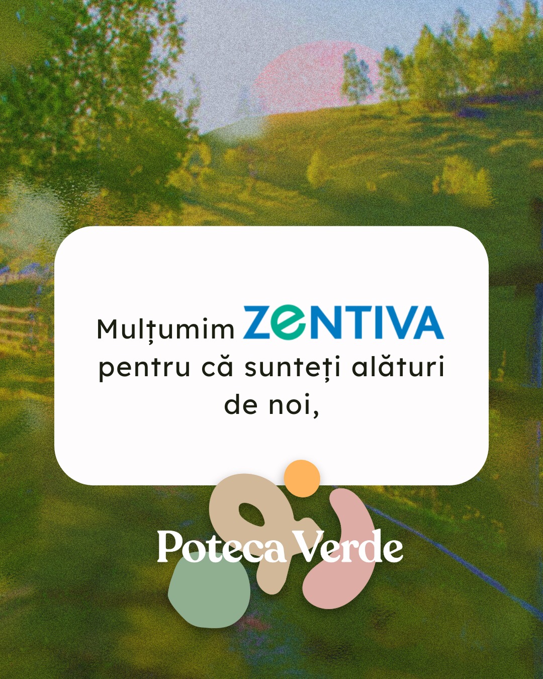 🌿 Poteca Verde prinde contur cu... - Festival Poteca Verde | Facebook