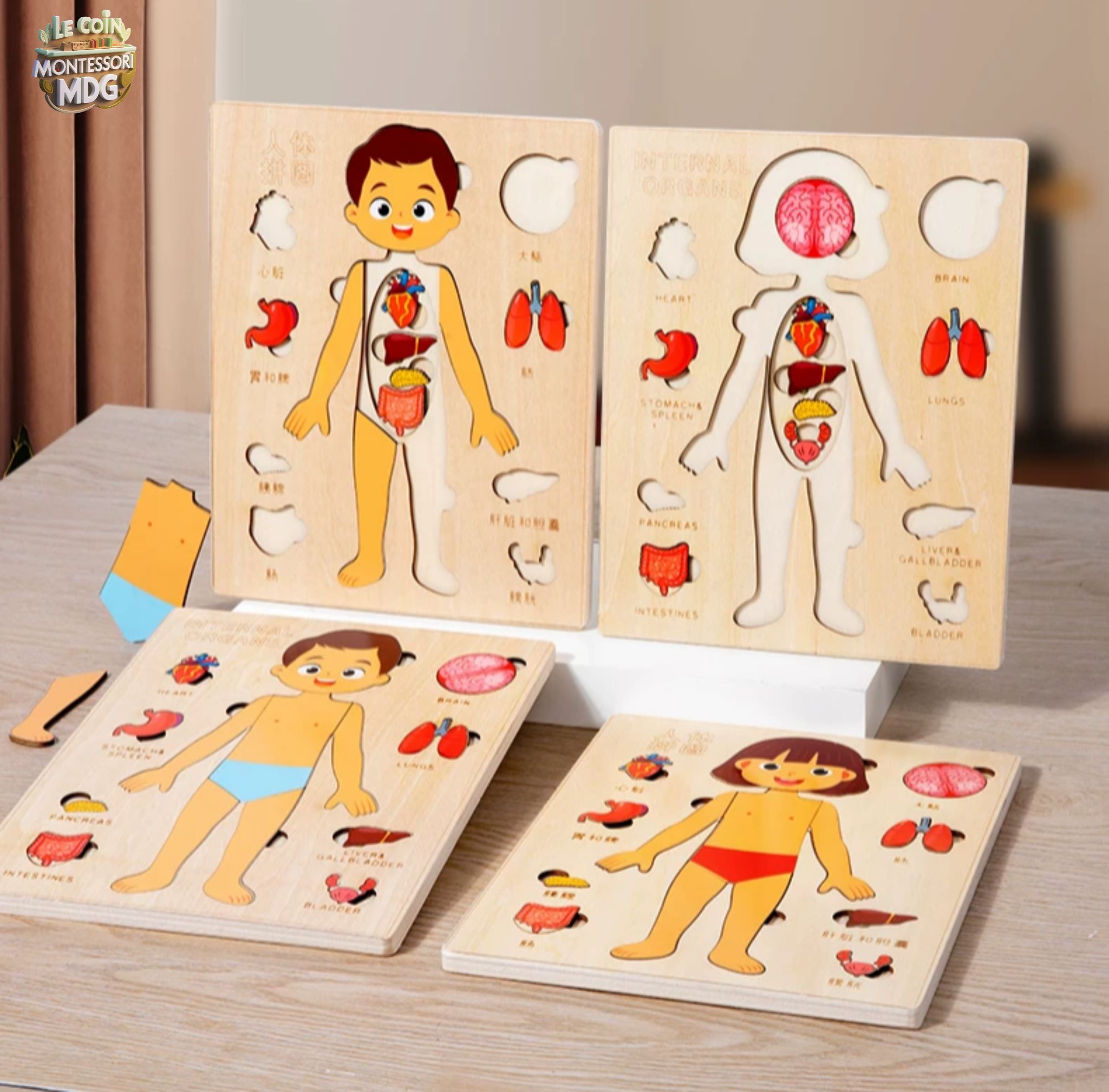 Set De 15 Diapasons De Thérapie Sonore Pour Organes Du Corps + Maillet + Pochette - Argent, Garantie à Vie
