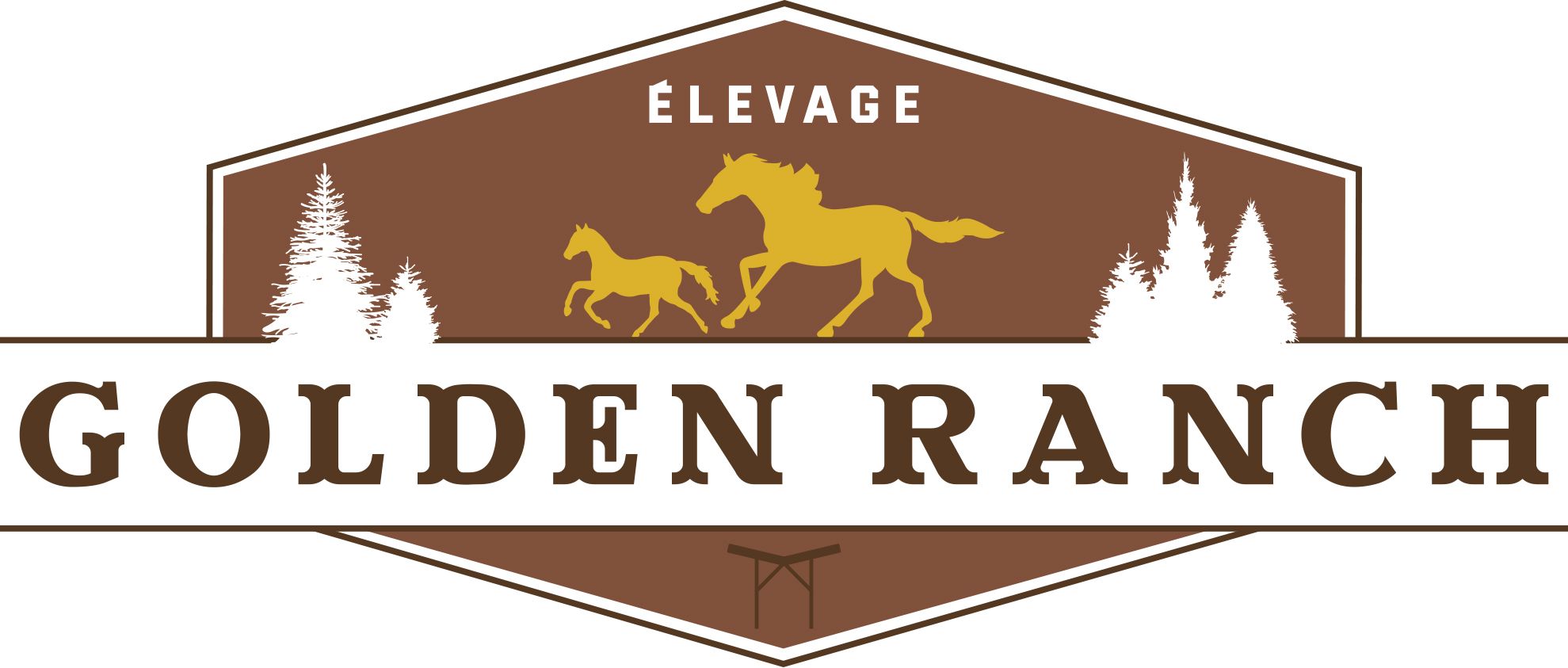 Élevage Golden Ranch inc. | Val-d'Or QC
