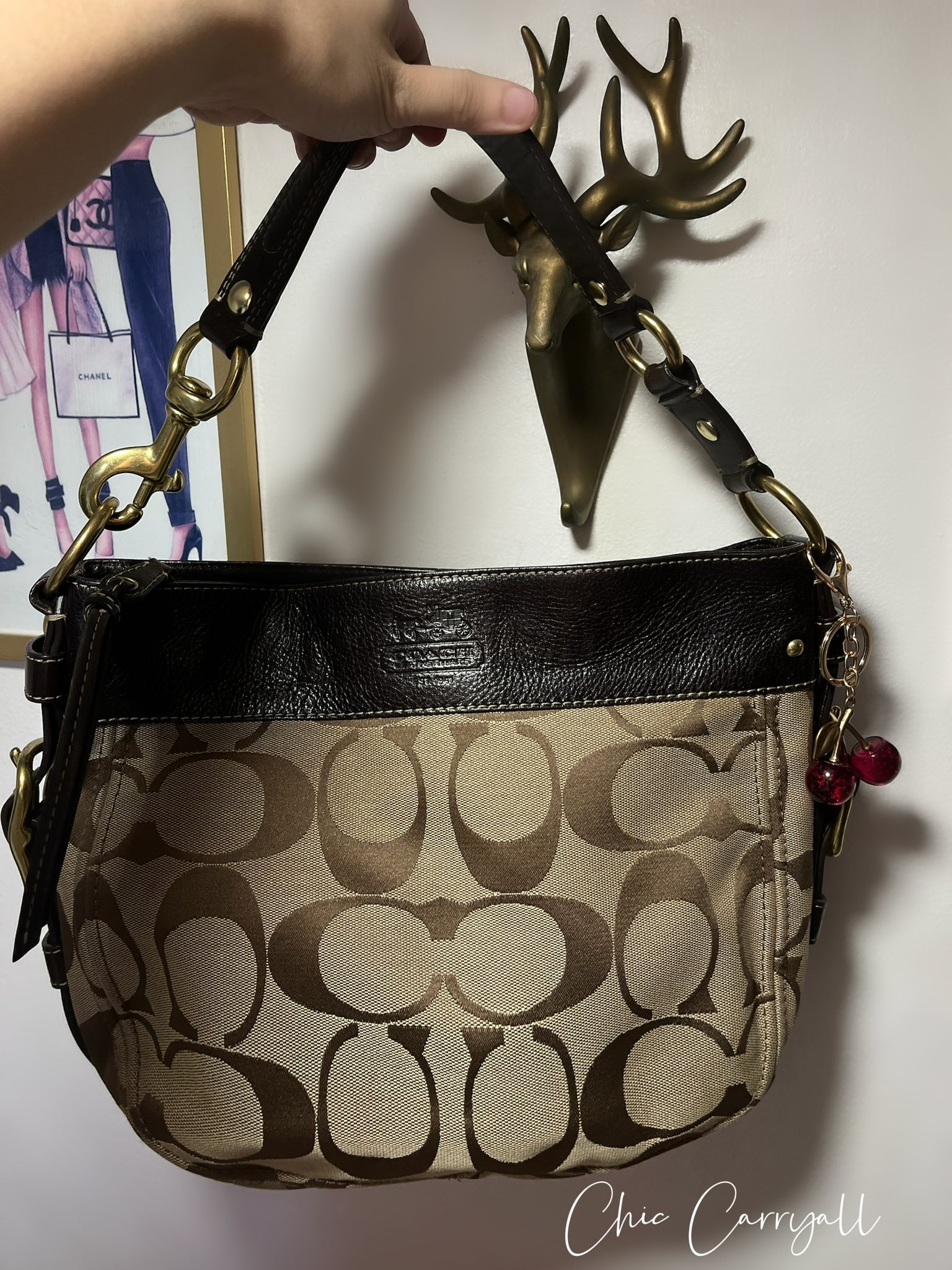 Coach Zoe Hobo Bag Coach Brown Medium ? with minimal signs of 