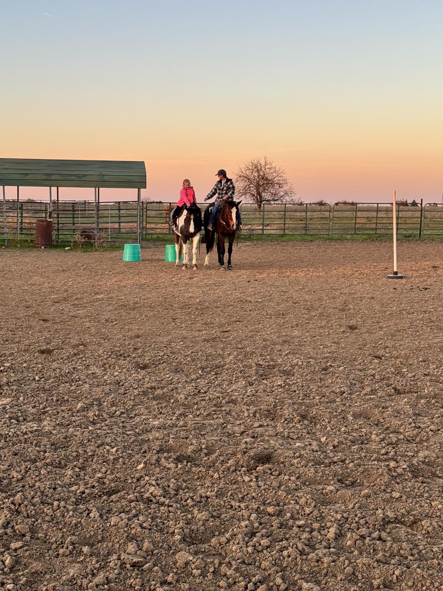 Western Riding Lessons-Bringing Horses and People Together added a new ...