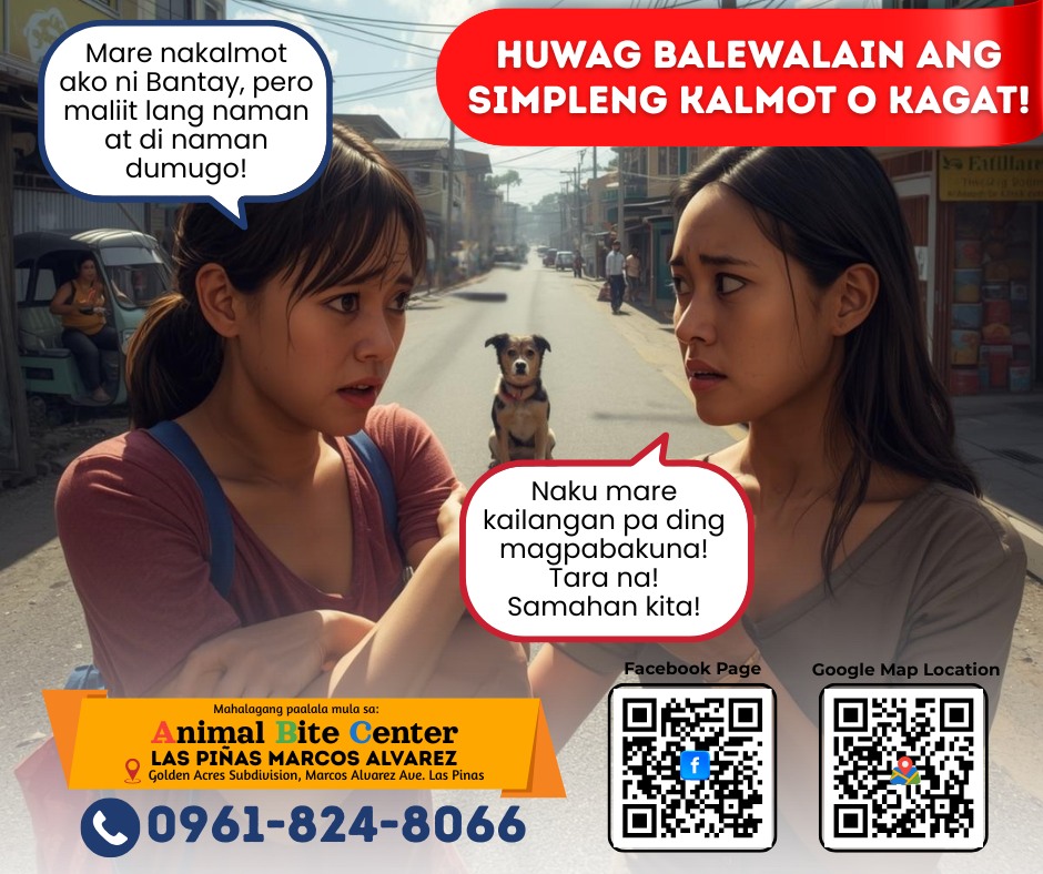 Animal - Huwag balewalain ang simpleng kagat o kalmot. 🐾 Mas mabuti ang ...