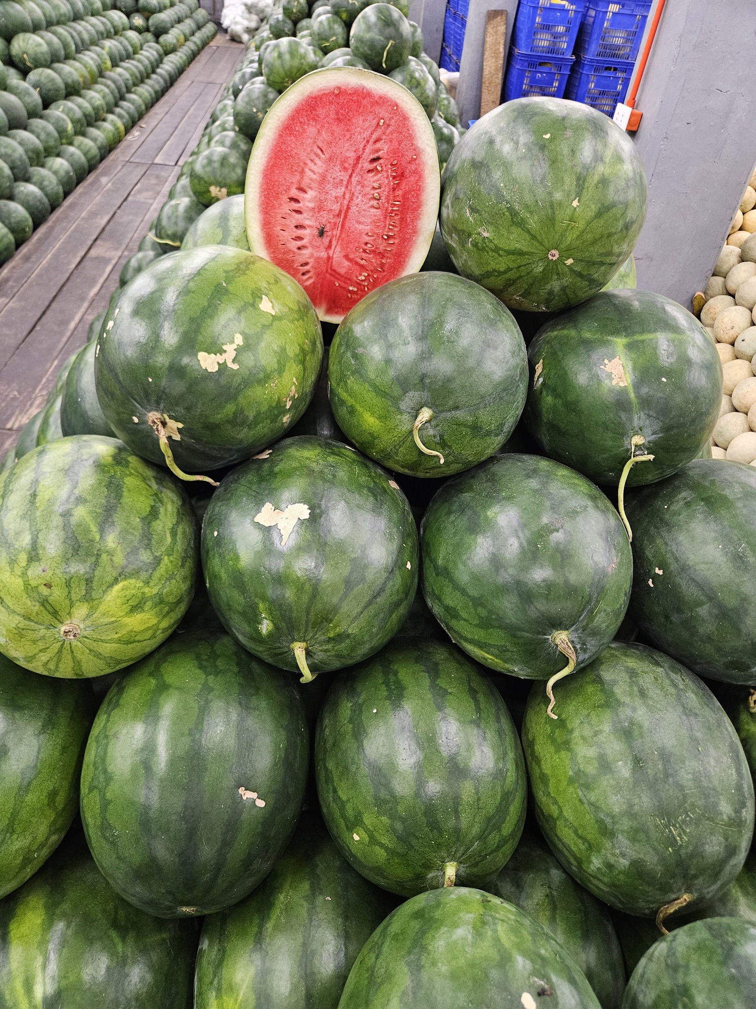 FarmyHub - 🍉 Fresh bulk watermelons — consistent quality for resellers ...