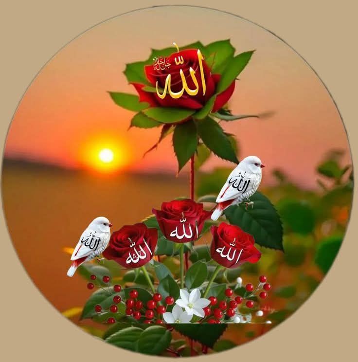 Rabia Gull