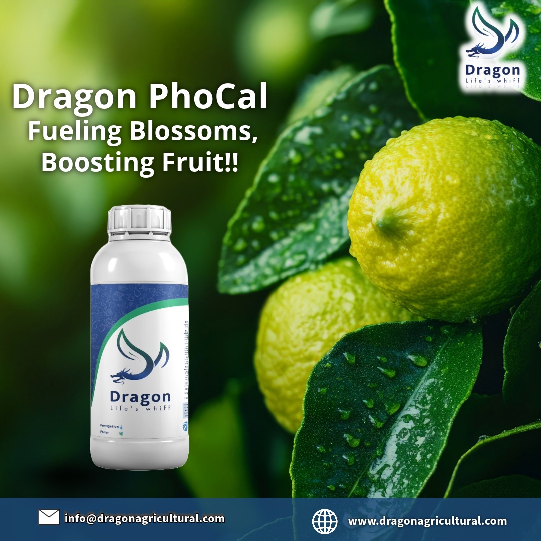 Dragon Ferti - 🌿 Introducing Dragon PhoCal – The Key to... | Facebook