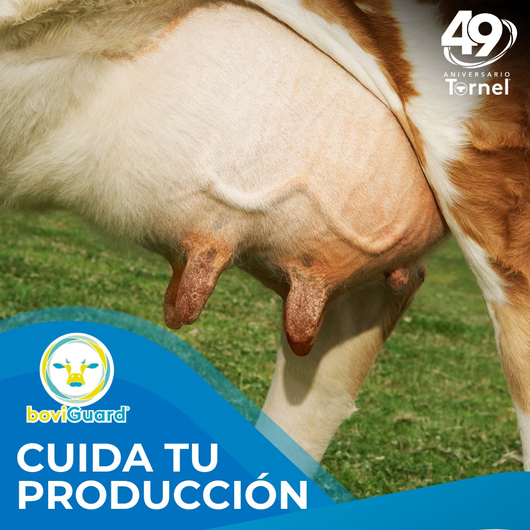 Laboratorios - ¿Tu vaca presenta signos de mastitis? Cefalex K® ayuda a ...