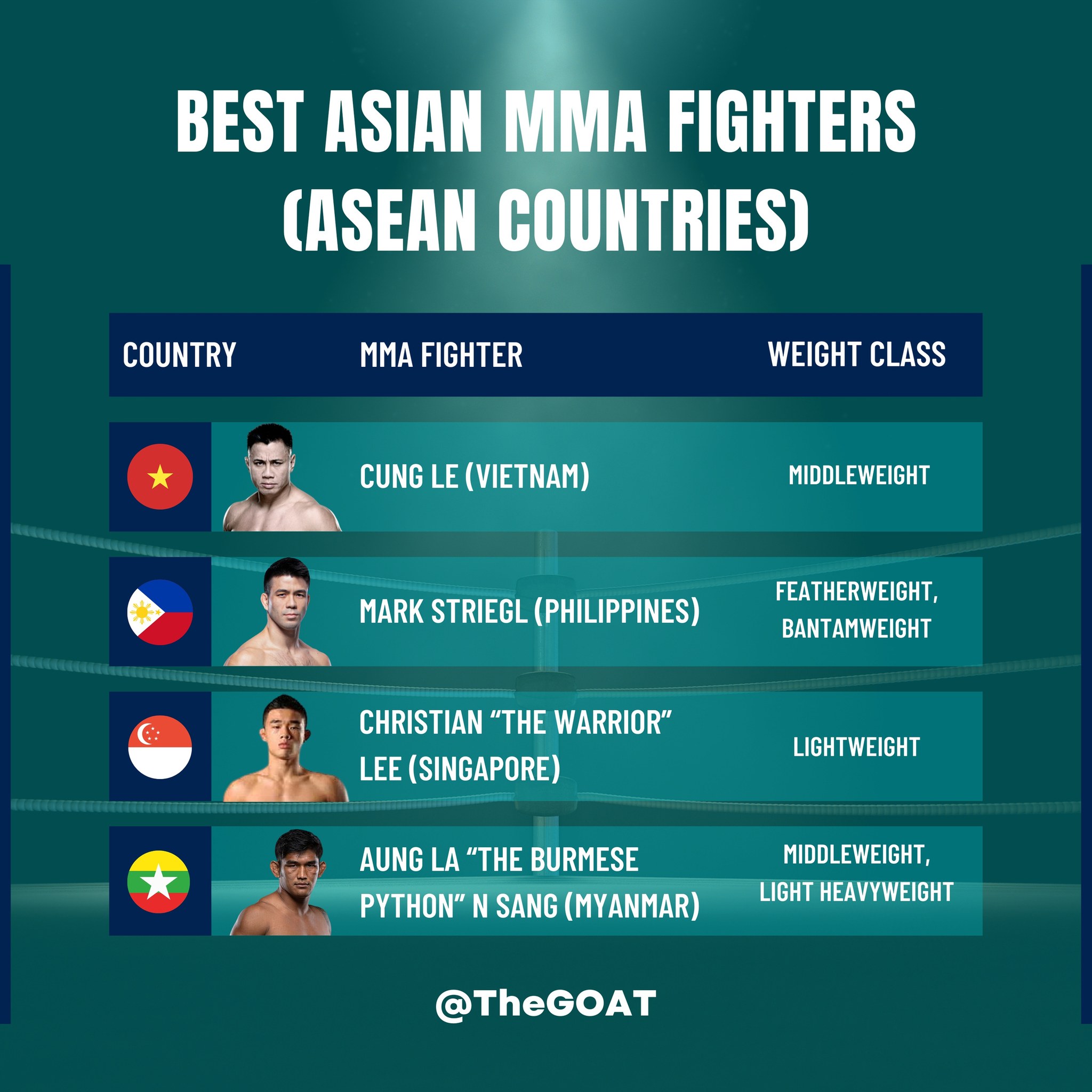 🥋 Discover the best MMA fighters from... - The GOAT/Rivalry | Facebook