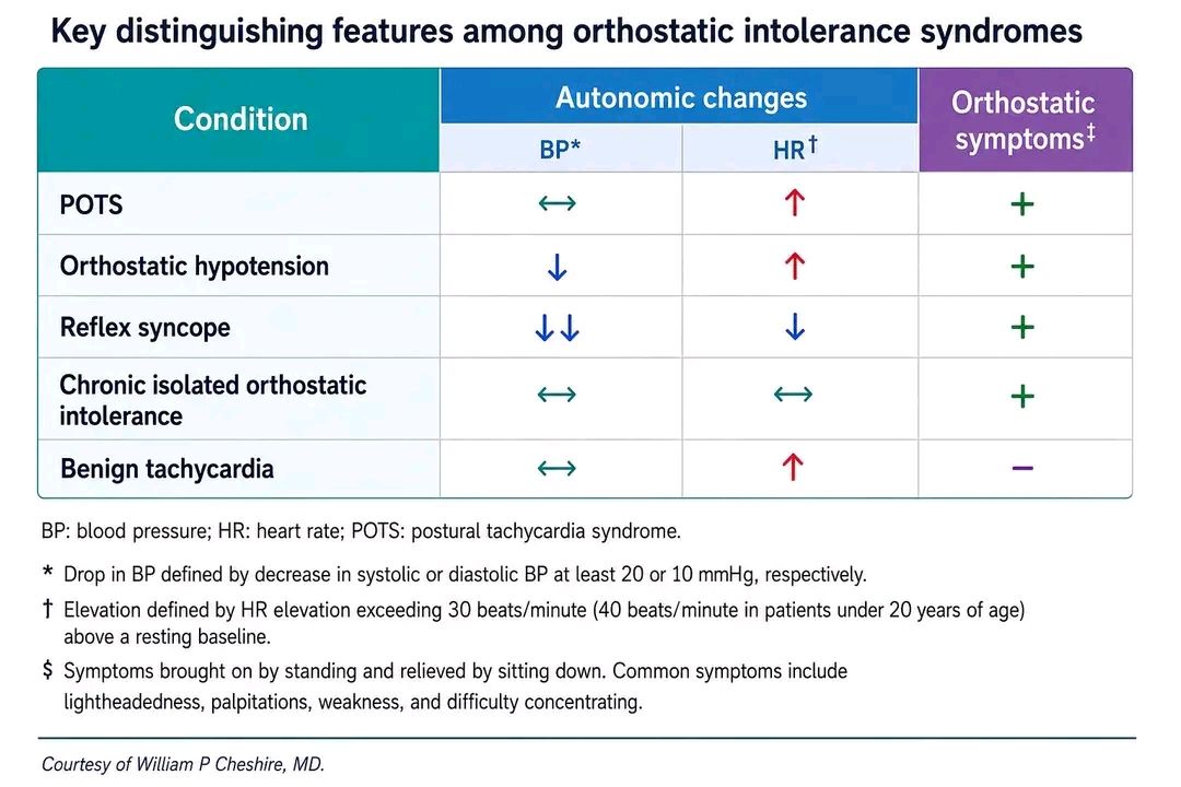 orthostatic hypotension tirzepatide Diagnosis and treatment of Tirzepatide Provides Sustained BP Reduction