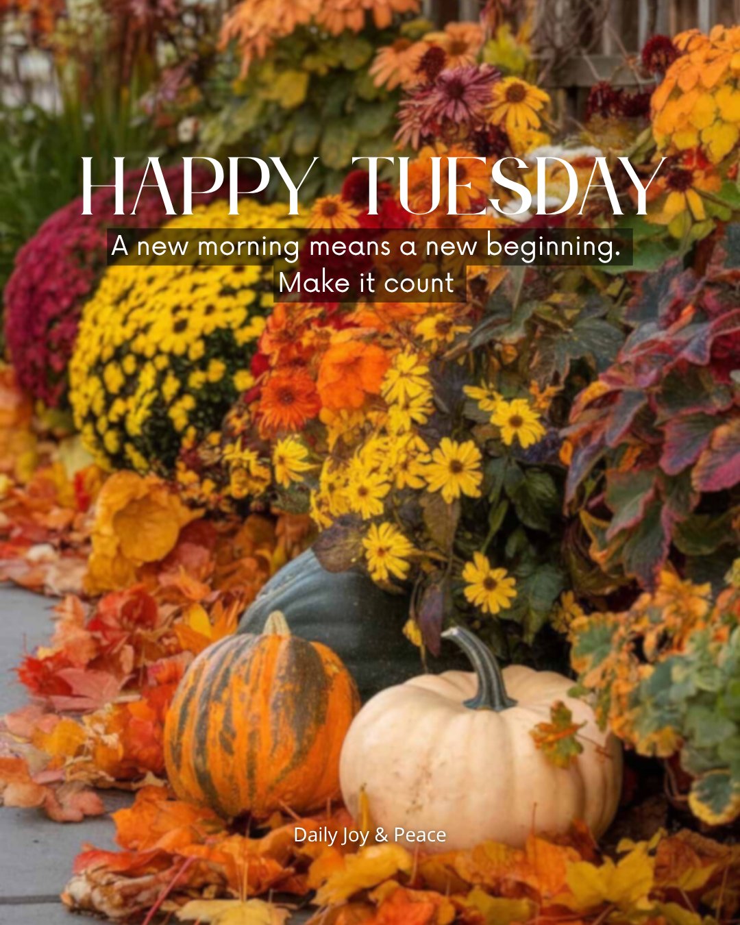 Daily - Happy Tuesday! 🍂🍁💛 A new morning means a new beginning. Make it ...