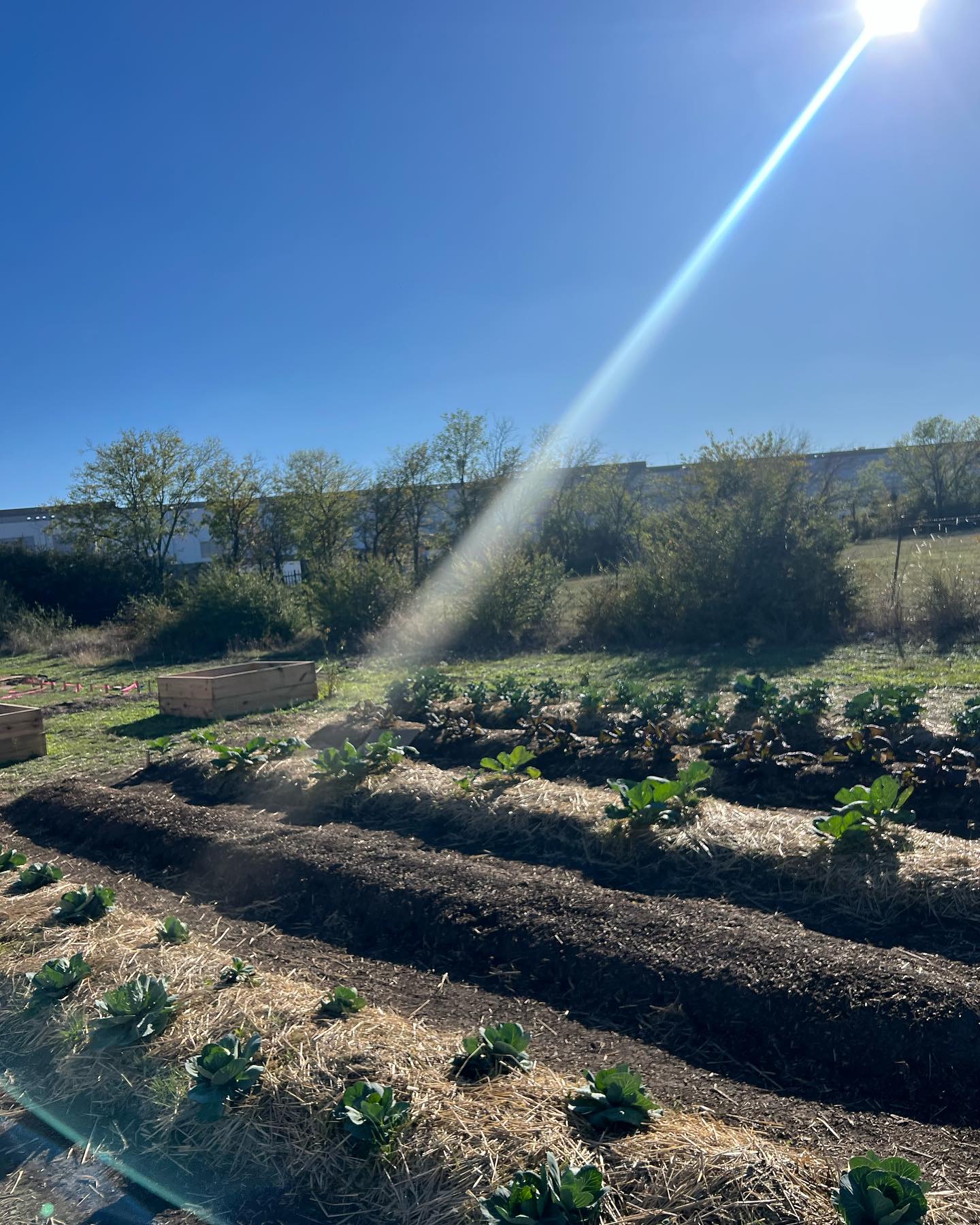 New Life Farms
