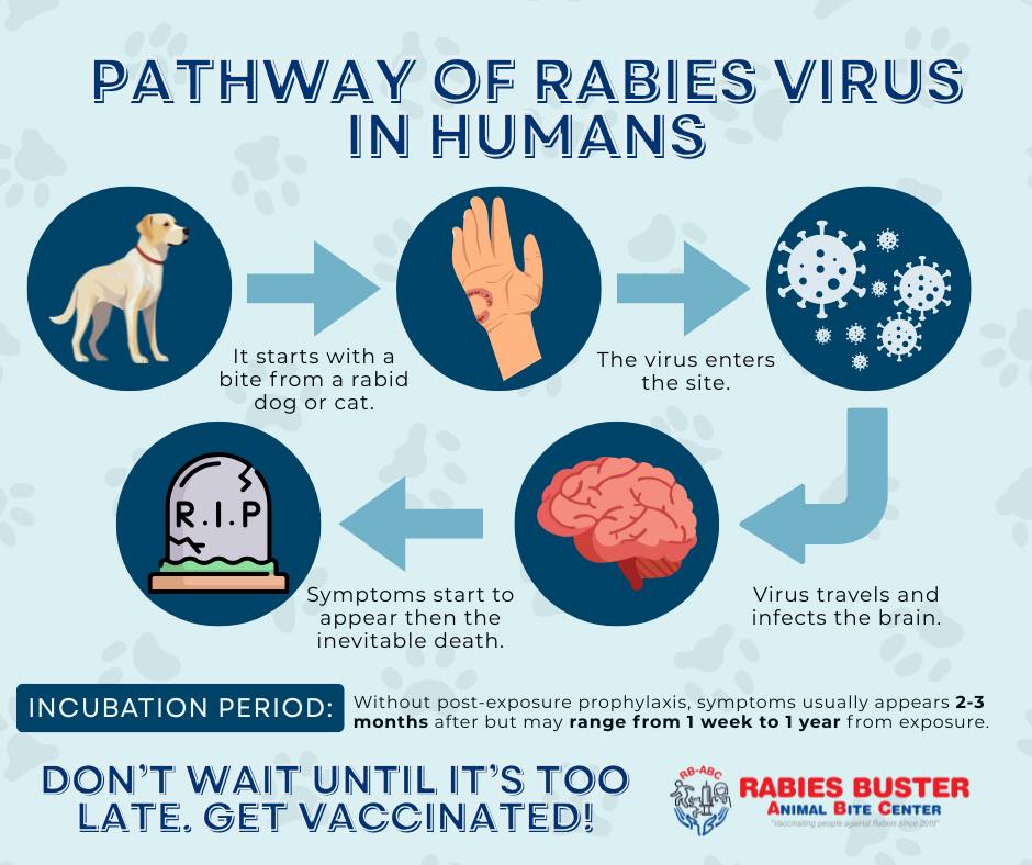 Liloan Cebu Branch - Rabies Buster - Animal Bite Center/Clinic | Liloan