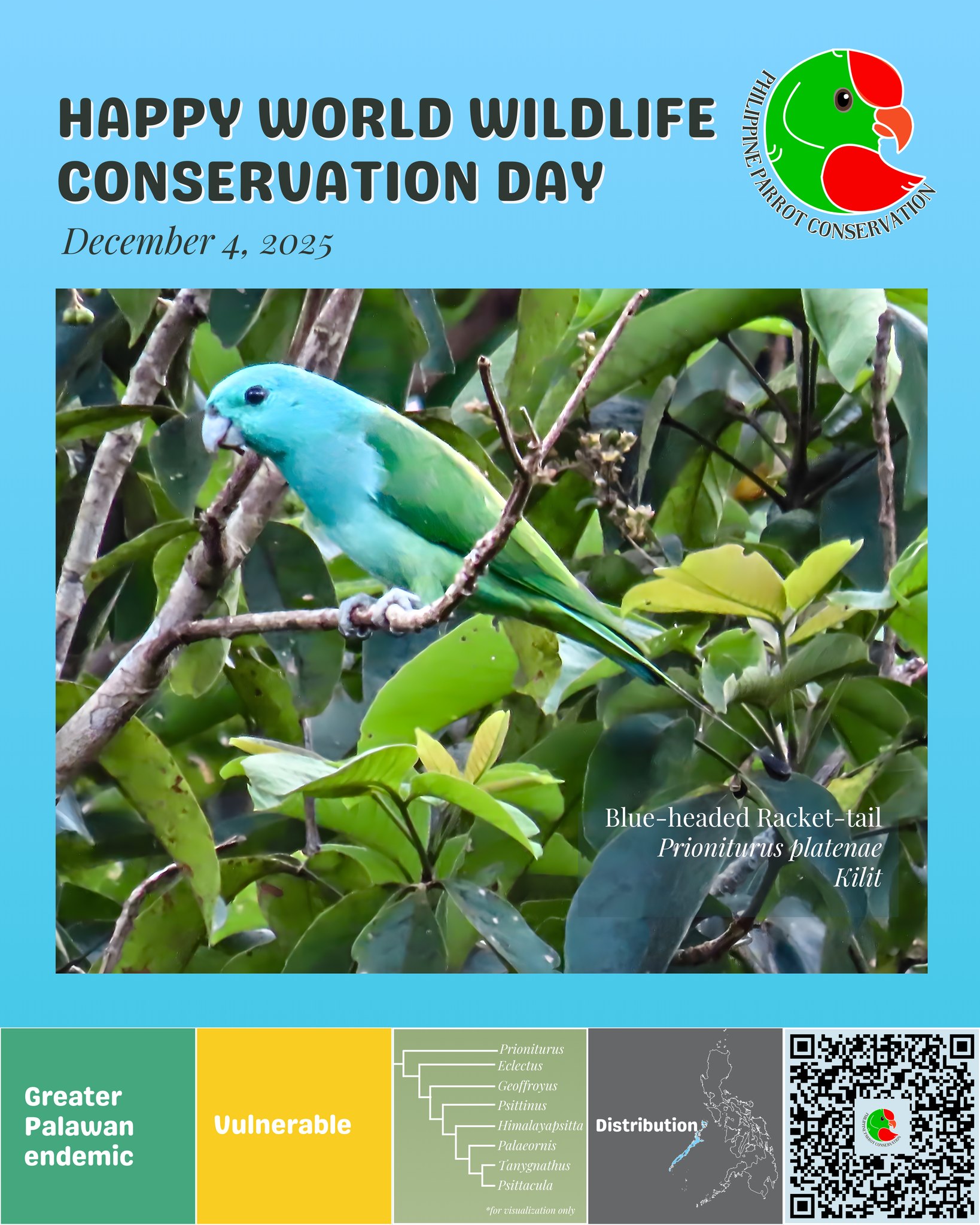 Philippine - Happy World Wildlife Conservation Day! 🦜 Today, we feature ...