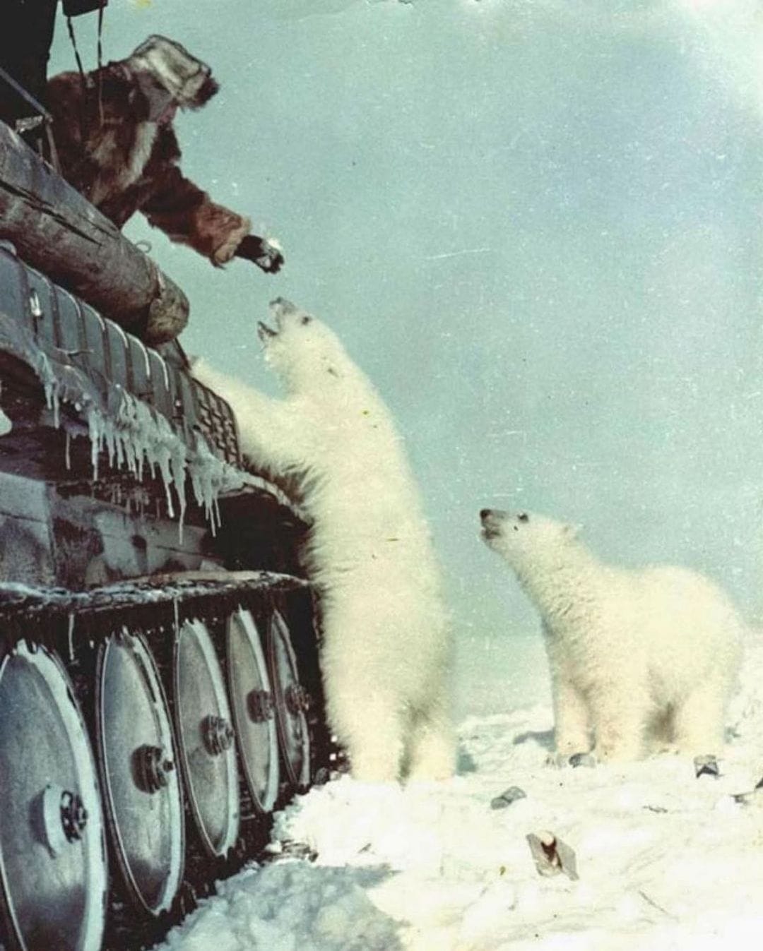 Soviet border guard in the Arctic, 1982